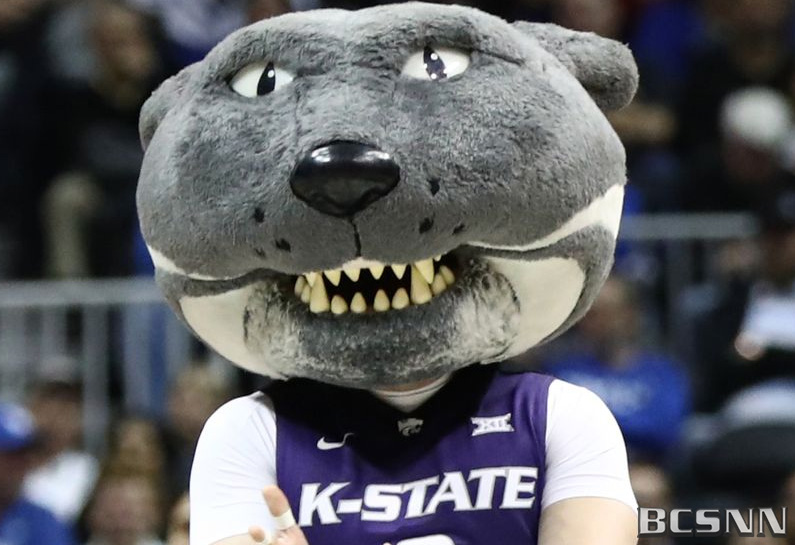 Survey names San Antonio Spurs Coyote among worst NBA mascots