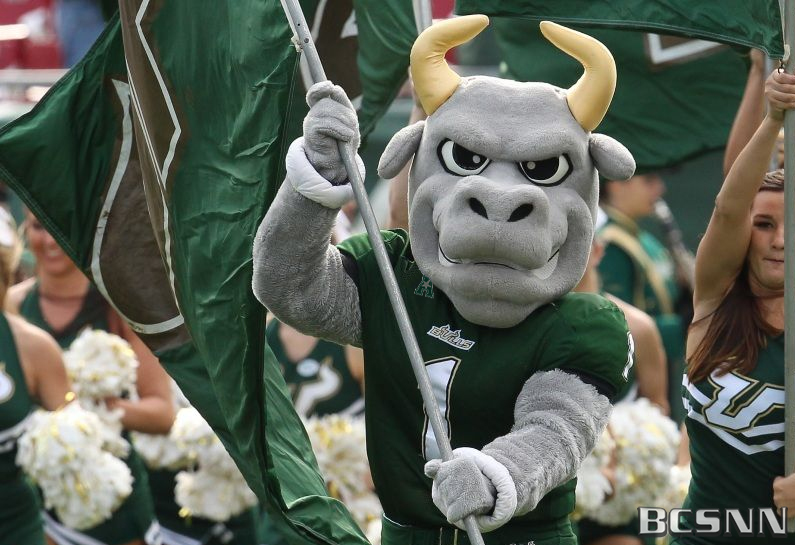 Usf bull bro